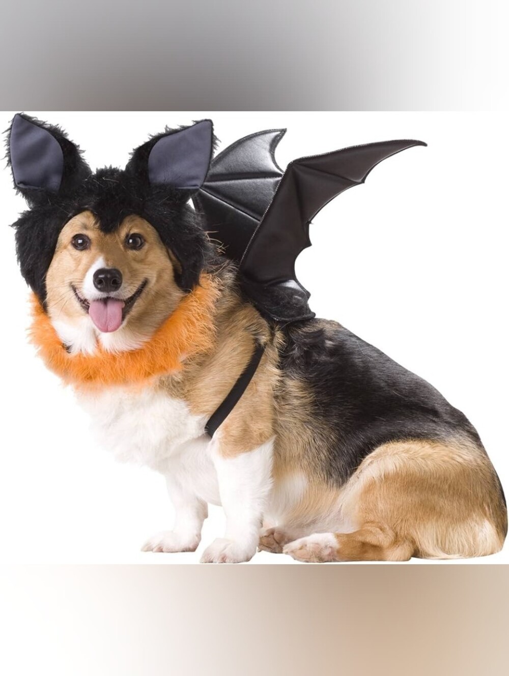 🎃 Small • Animal Planet • Vampire Dracula Bat Pet Costume